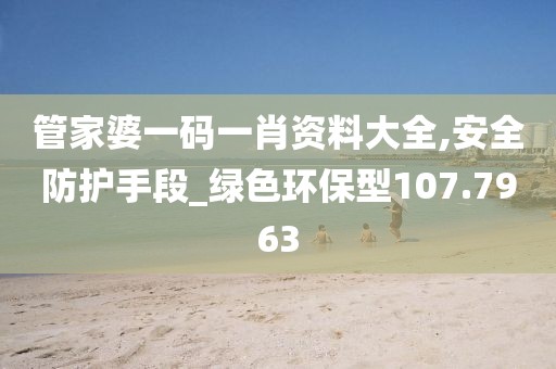 管家婆一码一肖资料大全,安全防护手段_绿色环保型107.7963