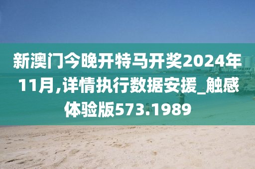 新澳门今晚开特马开奖2024年11月,详情执行数据安援_触感体验版573.1989