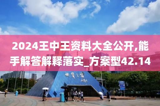 2024王中王资料大全公开,能手解答解释落实_方案型42.14