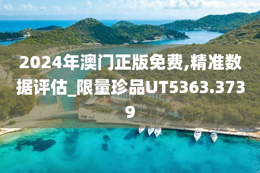 2024年澳门正版免费,精准数据评估_限量珍品UT5363.3739