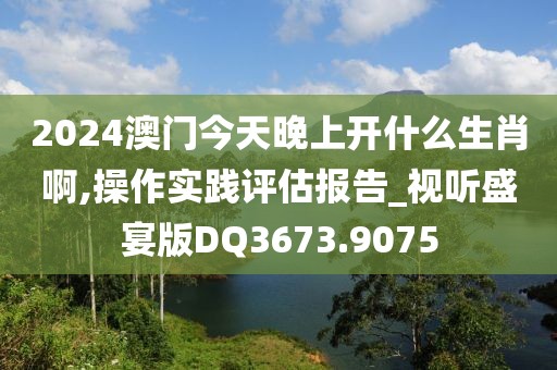 2024澳门今天晚上开什么生肖啊,操作实践评估报告_视听盛宴版DQ3673.9075
