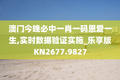 澳门今晚必中一肖一码恩爱一生,实时数据验证实施_乐享版KN2677.9827