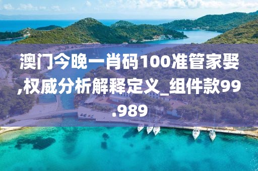 澳门今晚一肖码100准管家娶,权威分析解释定义_组件款99.989
