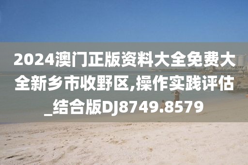 2024澳门正版资料大全免费大全新乡市收野区,操作实践评估_结合版DJ8749.8579