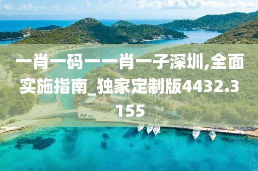 一肖一码一一肖一子深圳,全面实施指南_独家定制版4432.3155