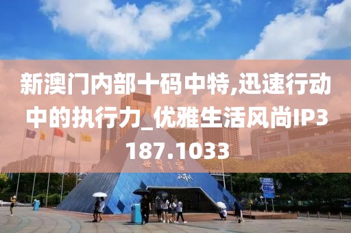 新澳门内部十码中特,迅速行动中的执行力_优雅生活风尚IP3187.1033