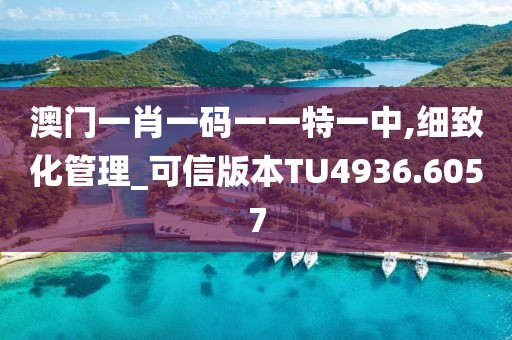 澳门一肖一码一一特一中,细致化管理_可信版本TU4936.6057