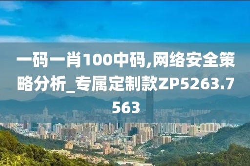 一码一肖100中码,网络安全策略分析_专属定制款ZP5263.7563