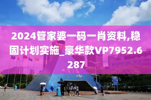 2024管家婆一码一肖资料,稳固计划实施_豪华款VP7952.6287