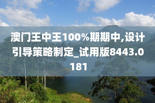 澳门王中王100%期期中,设计引导策略制定_试用版8443.0181