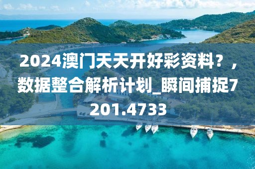 2024澳门天天开好彩资料？,数据整合解析计划_瞬间捕捉7201.4733