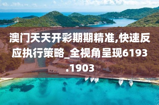 澳门天天开彩期期精准,快速反应执行策略_全视角呈现6193.1903