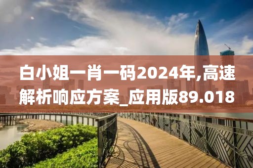 白小姐一肖一码2024年,高速解析响应方案_应用版89.018