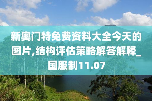 新奥门特免费资料大全今天的图片,结构评估策略解答解释_国服制11.07