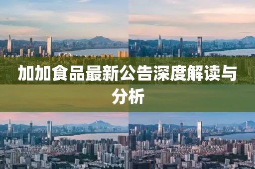 加加食品最新公告深度解读与分析