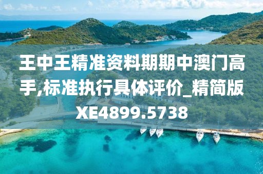 王中王精准资料期期中澳门高手,标准执行具体评价_精简版XE4899.5738
