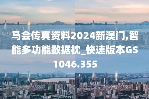 马会传真资料2024新澳门,智能多功能数据枕_快速版本GS1046.355