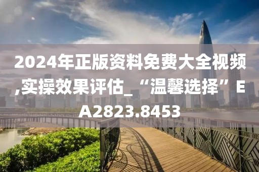 2024年正版资料免费大全视频,实操效果评估_“温馨选择”EA2823.8453