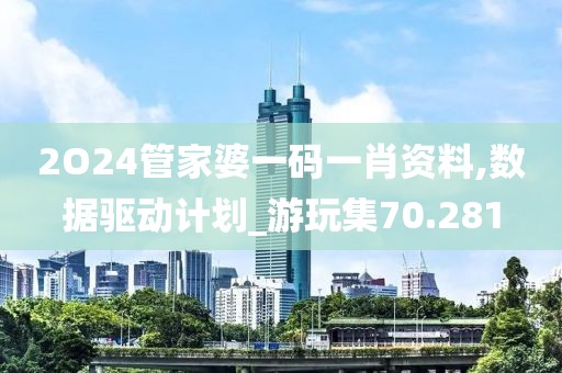 2O24管家婆一码一肖资料,数据驱动计划_游玩集70.281