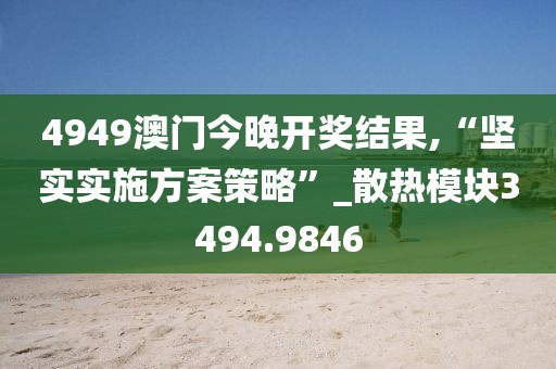 4949澳门今晚开奖结果,“坚实实施方案策略”_散热模块3494.9846