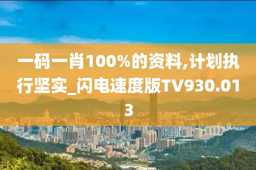 一码一肖100%的资料,计划执行坚实_闪电速度版TV930.013
