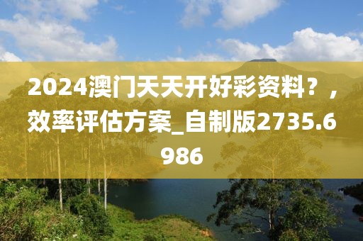 2024澳门天天开好彩资料？,效率评估方案_自制版2735.6986