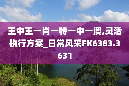 王中王一肖一特一中一澳,灵活执行方案_日常风采FK6383.3631
