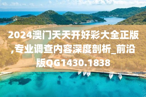2024澳门天天开好彩大全正版,专业调查内容深度剖析_前沿版QG1430.1838