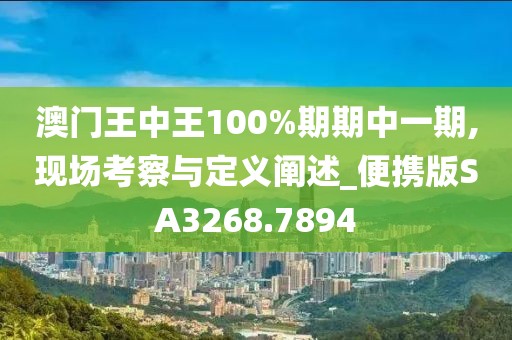 澳门王中王100%期期中一期,现场考察与定义阐述_便携版SA3268.7894