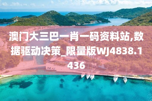 澳门大三巴一肖一码资料站,数据驱动决策_限量版WJ4838.1436