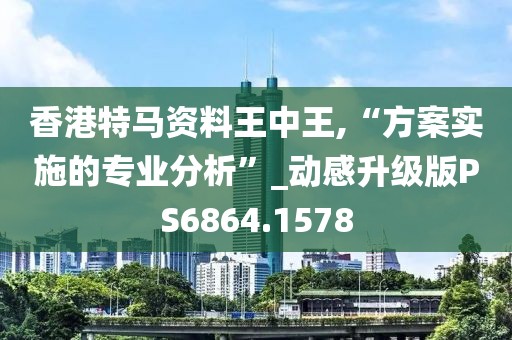 香港特马资料王中王,“方案实施的专业分析”_动感升级版PS6864.1578