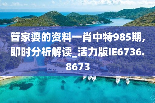 管家婆的资料一肖中特985期,即时分析解读_活力版IE6736.8673