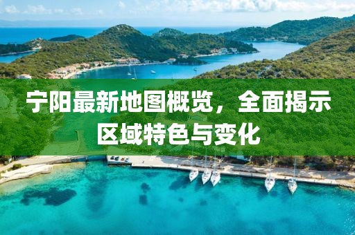 宁阳最新地图概览，全面揭示区域特色与变化