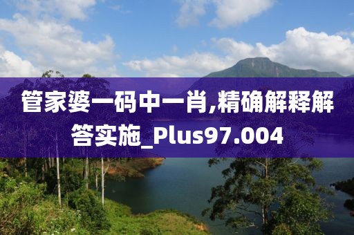 管家婆一码中一肖,精确解释解答实施_Plus97.004