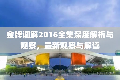 金牌调解2016全集深度解析与观察，最新观察与解读