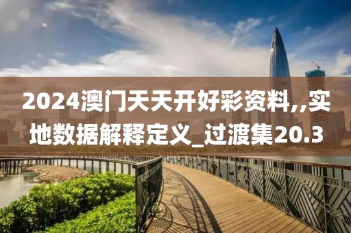 2024澳门天天开好彩资料,,实地数据解释定义_过渡集20.3