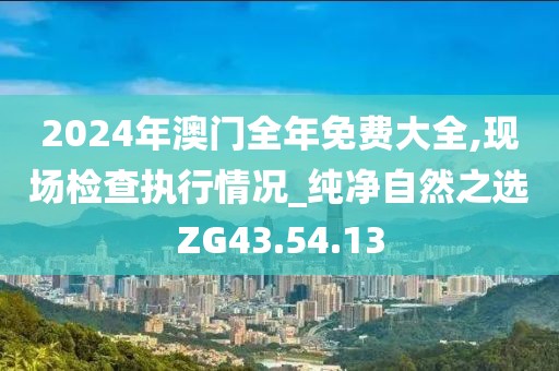 2024年澳门全年免费大全,现场检查执行情况_纯净自然之选ZG43.54.13