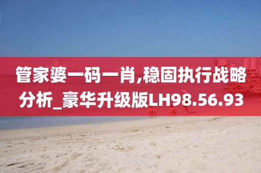 管家婆一码一肖,稳固执行战略分析_豪华升级版LH98.56.93