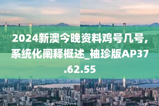 2024新澳今晚资料鸡号几号,系统化阐释概述_袖珍版AP37.62.55