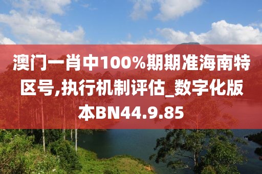 澳门一肖中100%期期准海南特区号,执行机制评估_数字化版本BN44.9.85
