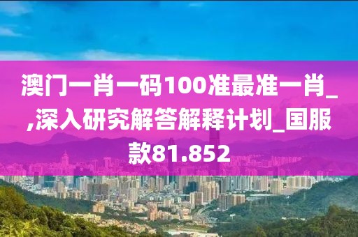 澳门一肖一码100准最准一肖_,深入研究解答解释计划_国服款81.852