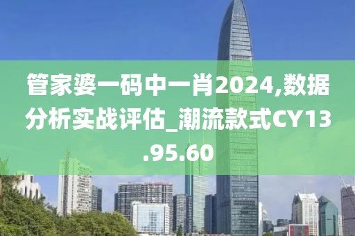 管家婆一码中一肖2024,数据分析实战评估_潮流款式CY13.95.60