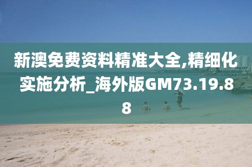新澳免费资料精准大全,精细化实施分析_海外版GM73.19.88