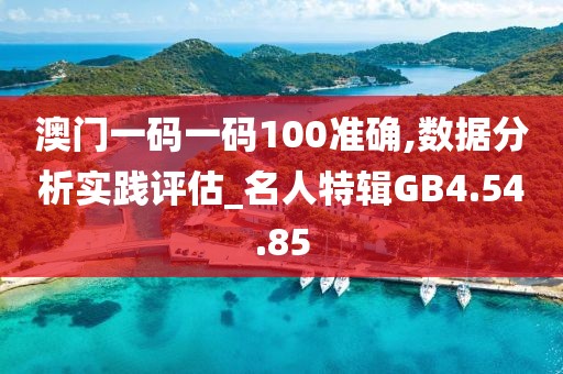 澳门一码一码100准确,数据分析实践评估_名人特辑GB4.54.85