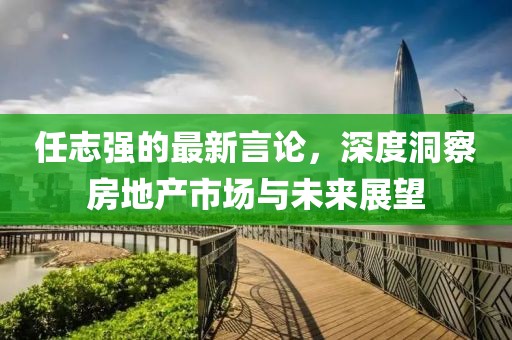 任志强的最新言论，深度洞察房地产市场与未来展望