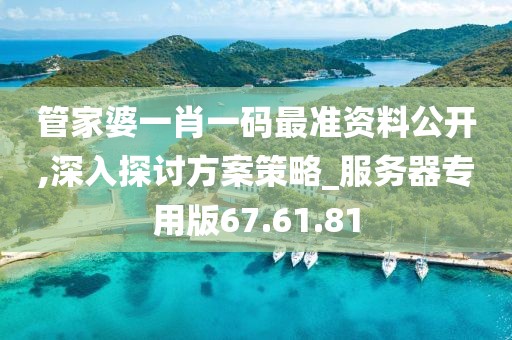 管家婆一肖一码最准资料公开,深入探讨方案策略_服务器专用版67.61.81