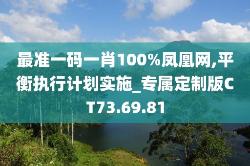 最准一码一肖100%凤凰网,平衡执行计划实施_专属定制版CT73.69.81