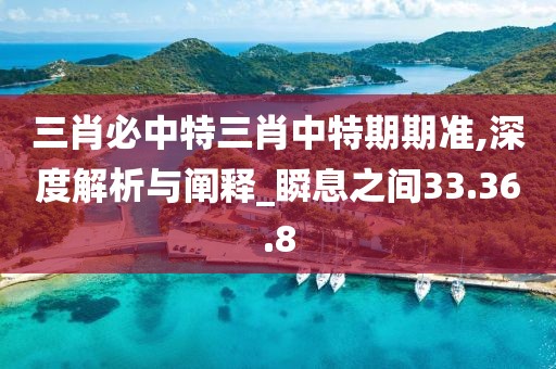 三肖必中特三肖中特期期准,深度解析与阐释_瞬息之间33.36.8