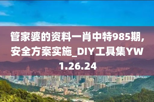 管家婆的资料一肖中特985期,安全方案实施_DIY工具集YW1.26.24