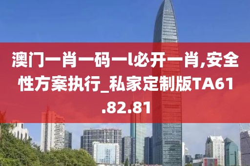 澳门一肖一码一l必开一肖,安全性方案执行_私家定制版TA61.82.81